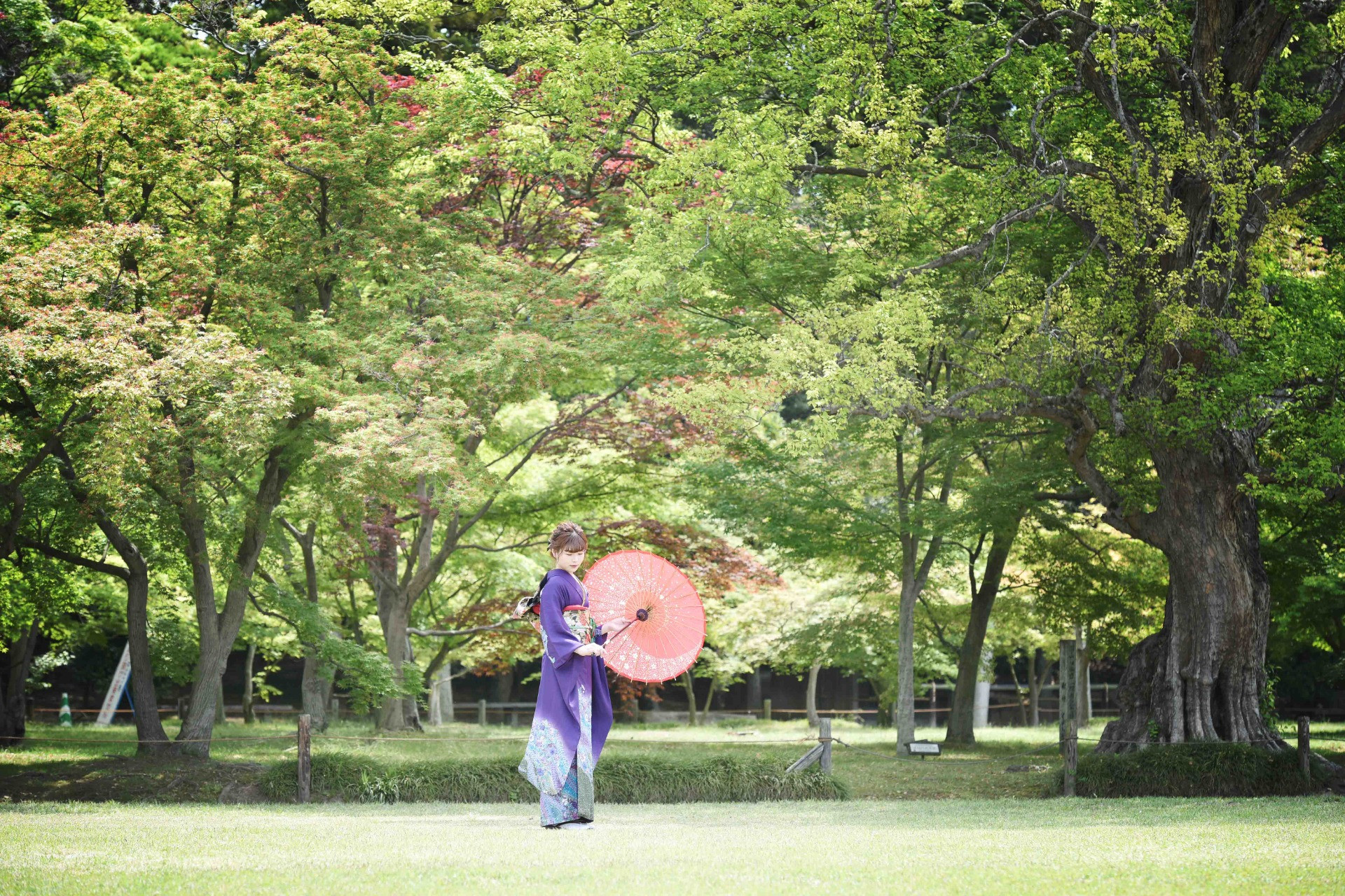 スタジオライト